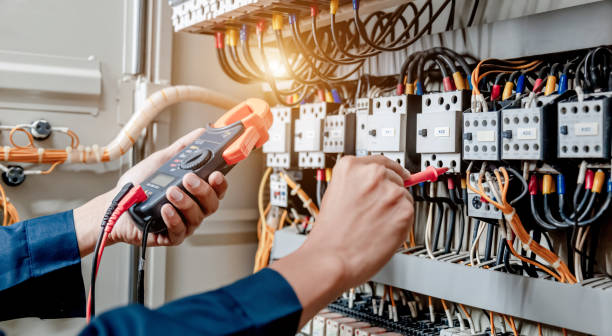 Best Electric Panel Repair  in Lake Barrington, IL